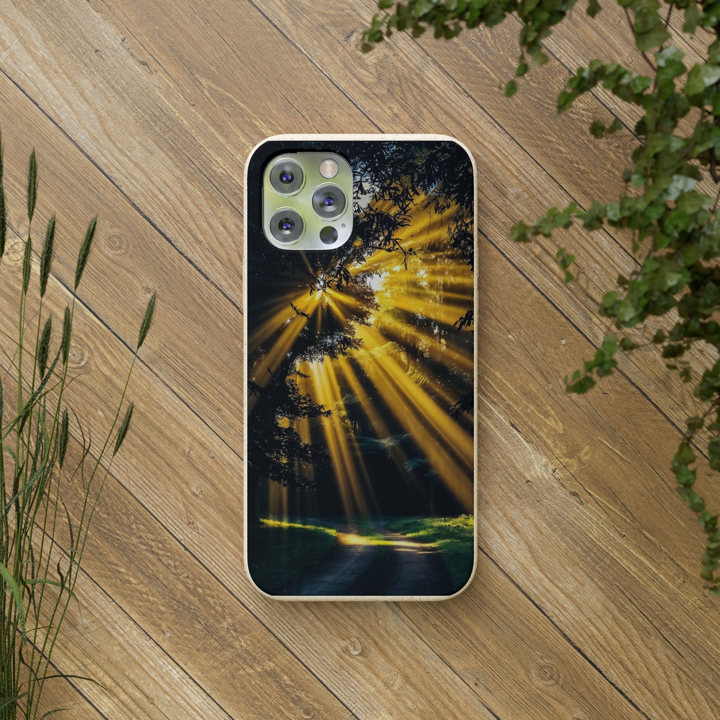 Rays of Hope Biodegradable Case