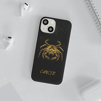 Cancer Flexi Case