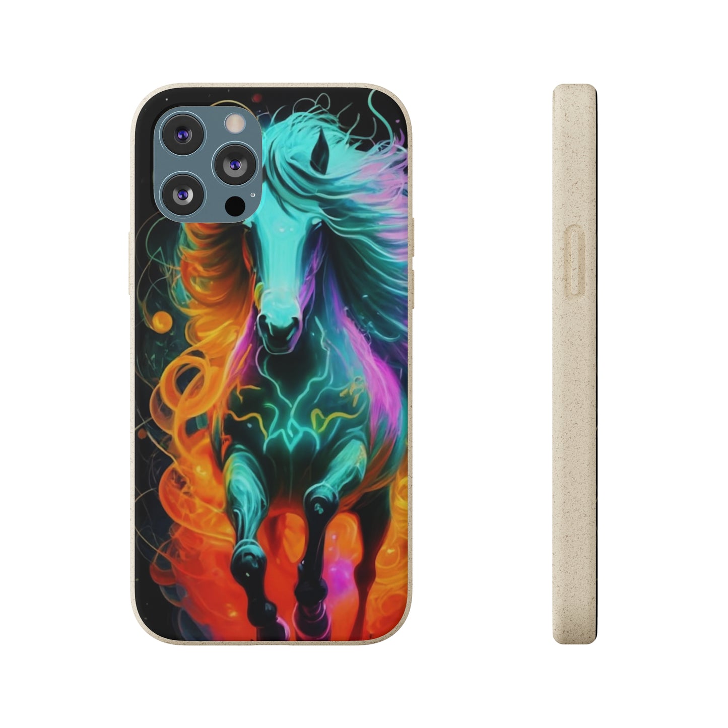 Rainbow Run Biodegradable Case