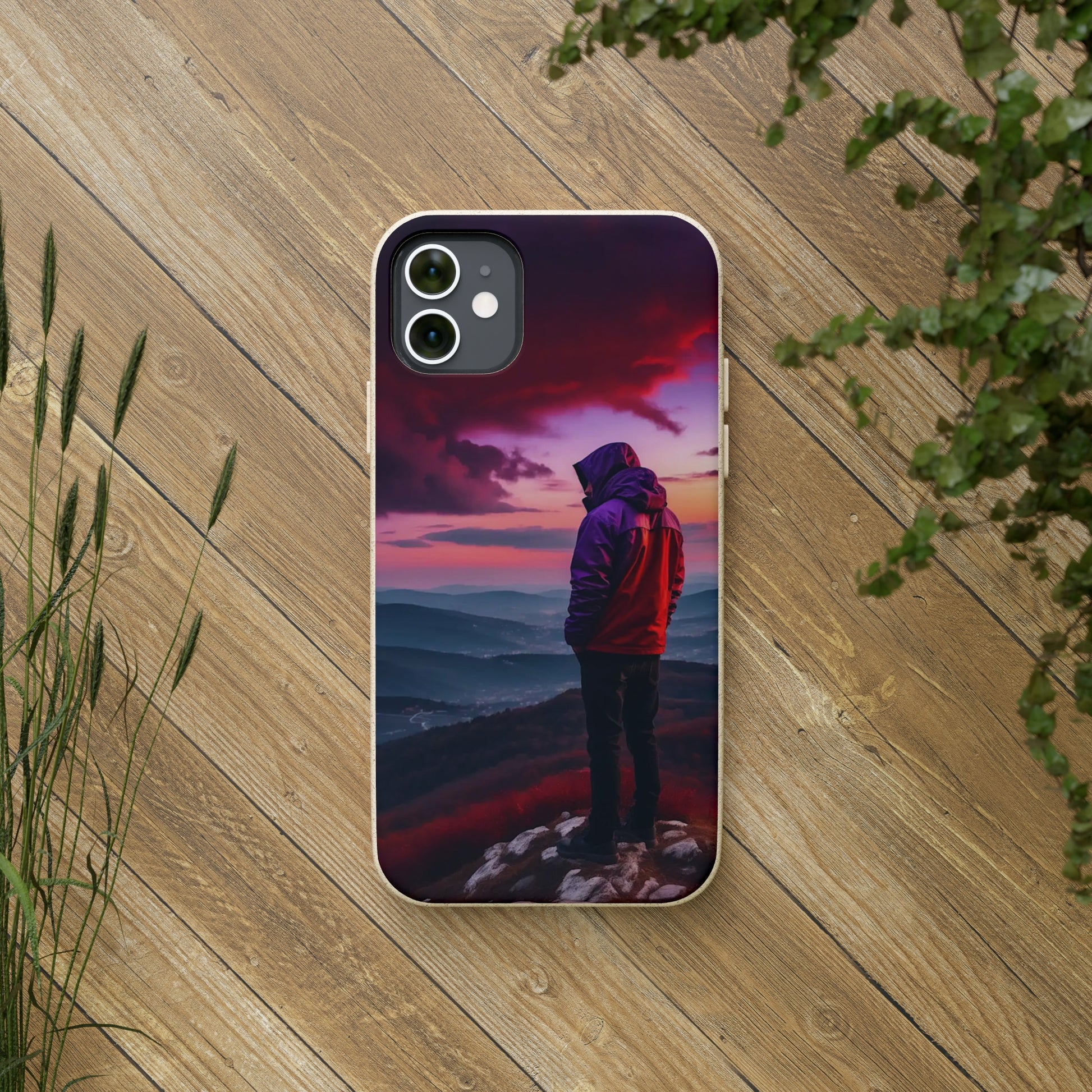 The View Biodegradable Case - Colorwink