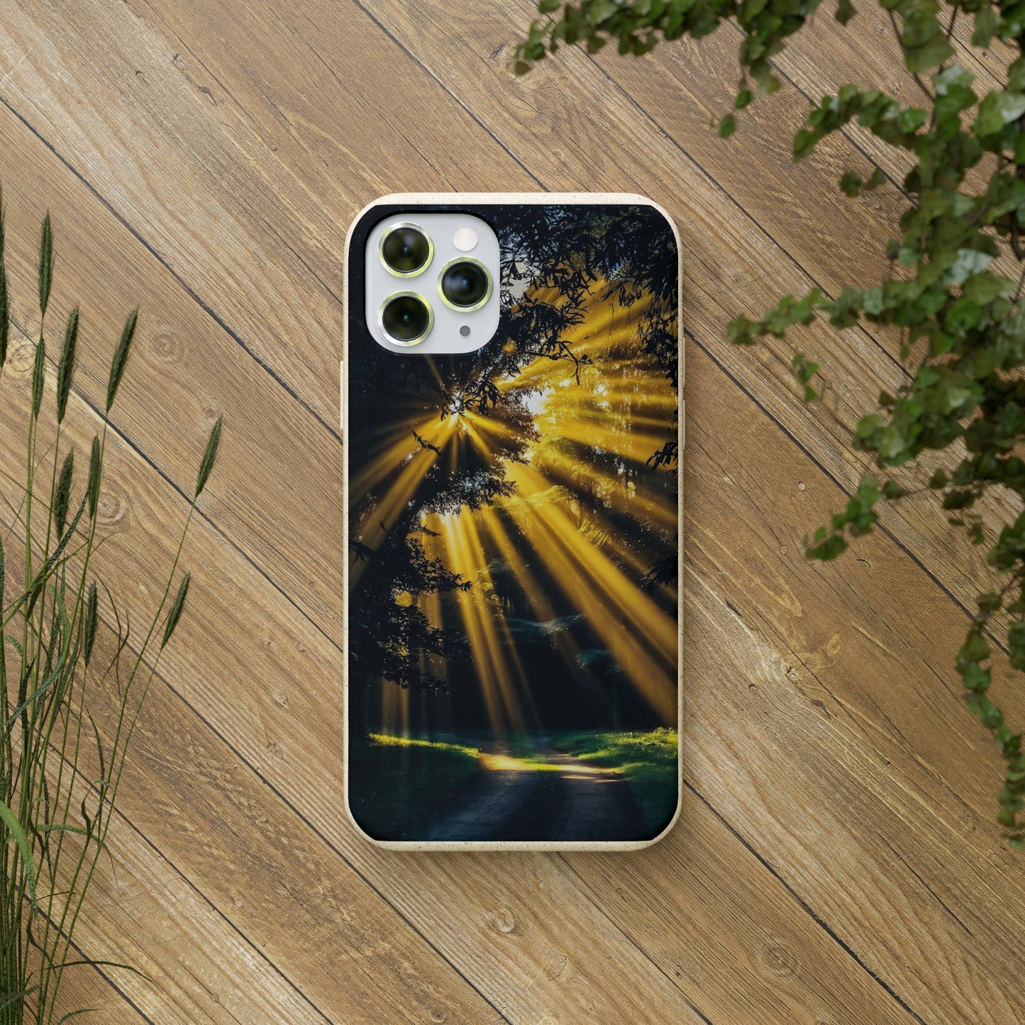 Rays of Hope Biodegradable Case