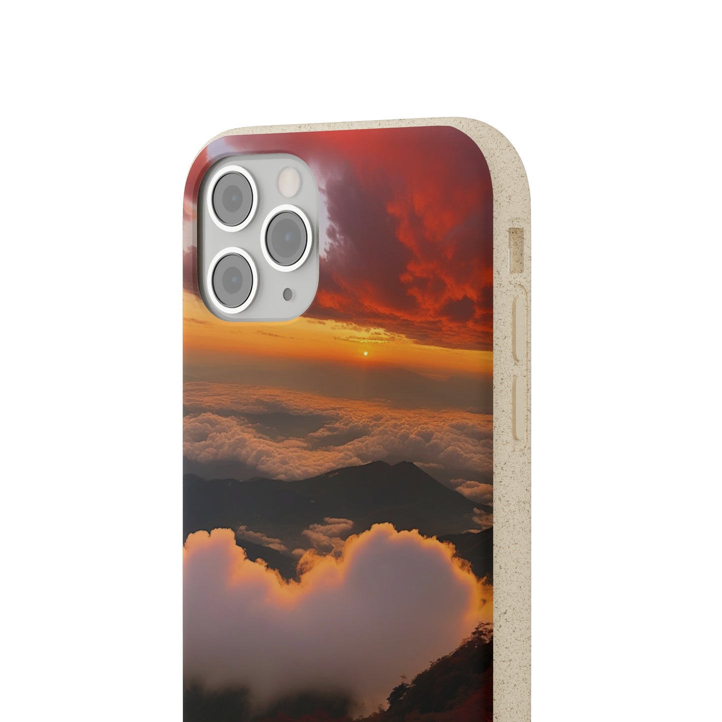 Sunset Bliss Biodegradable Case