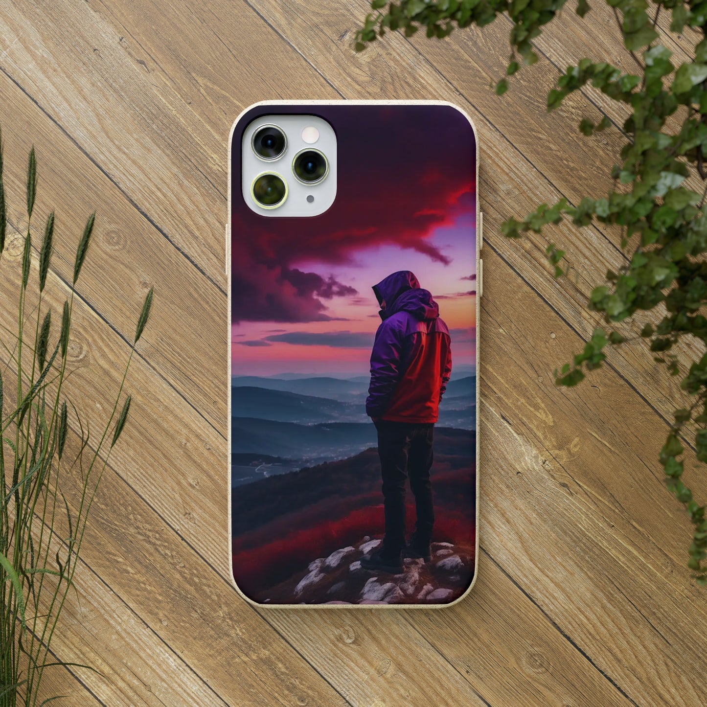 The View Biodegradable Case - Colorwink