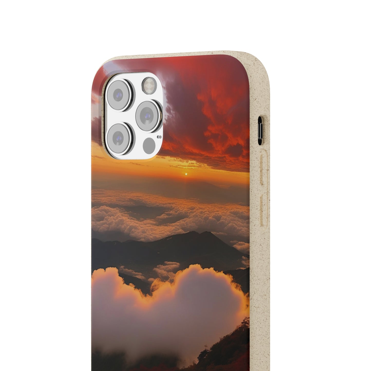 Sunset Bliss Biodegradable Case