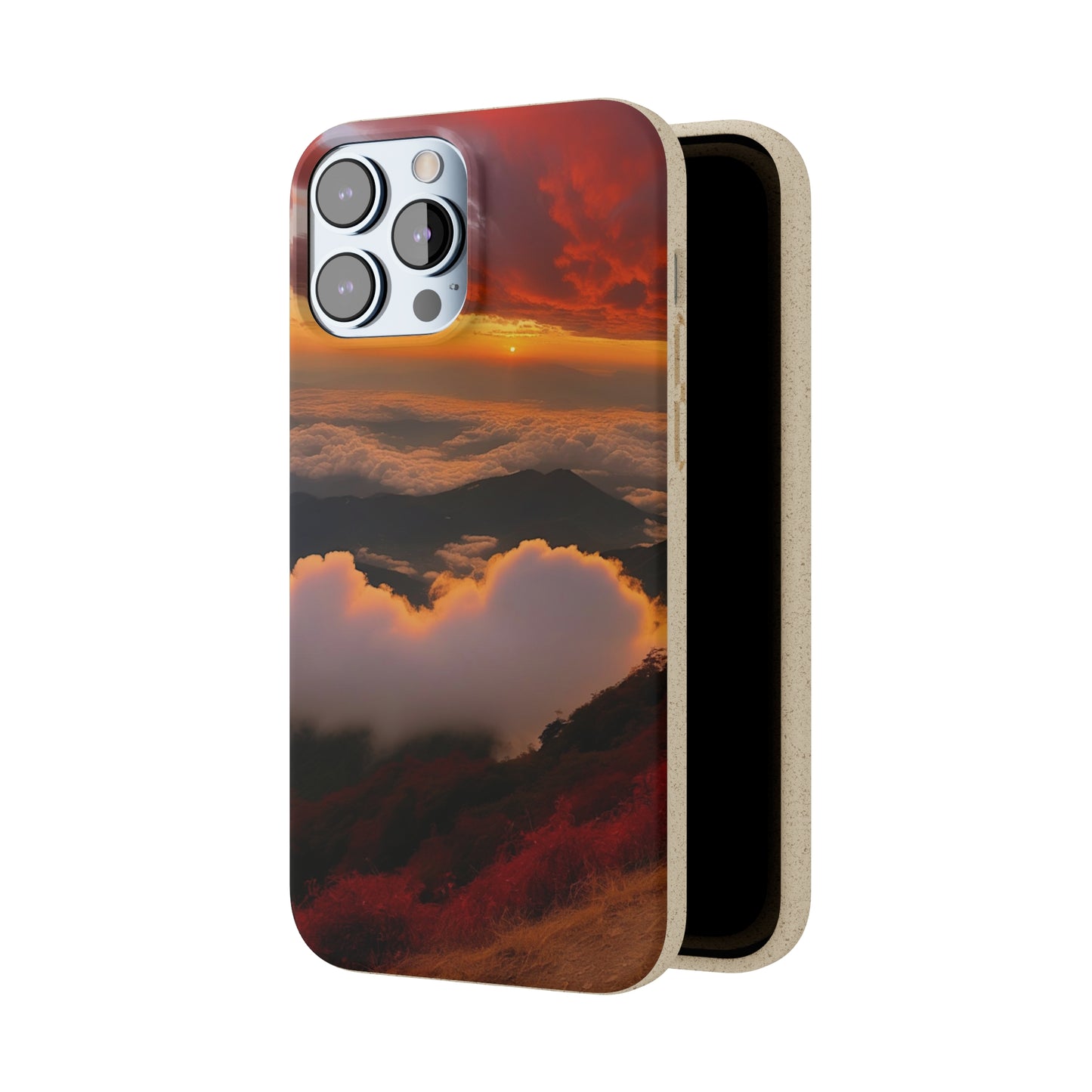 Sunset Bliss Biodegradable Case