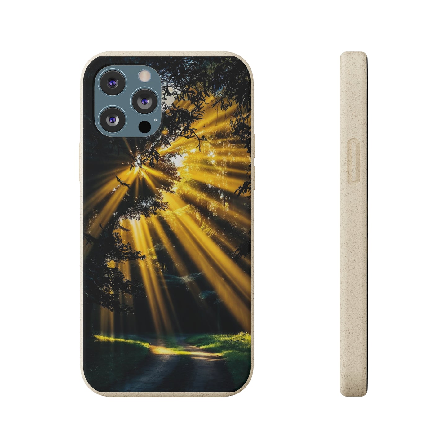 Rays of Hope Biodegradable Case