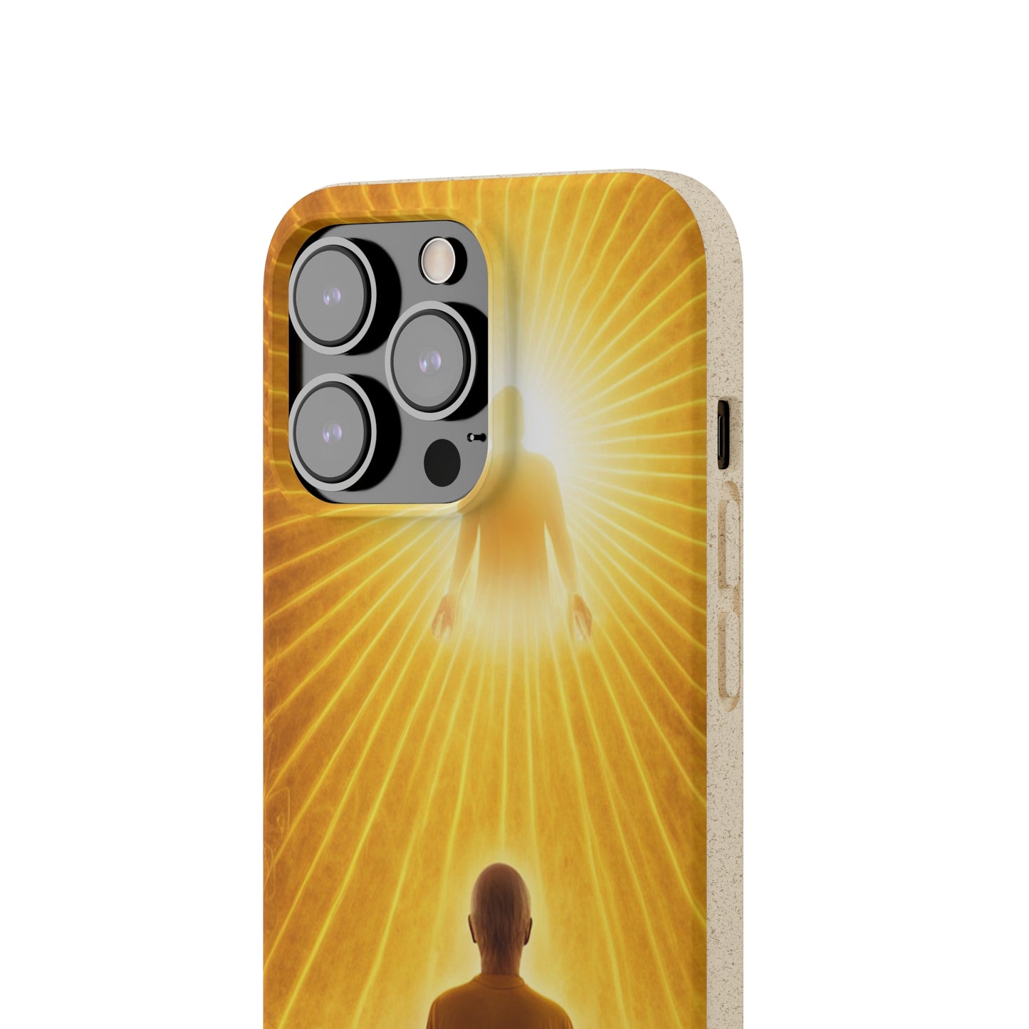 Meditative Monk Biodegradable Case