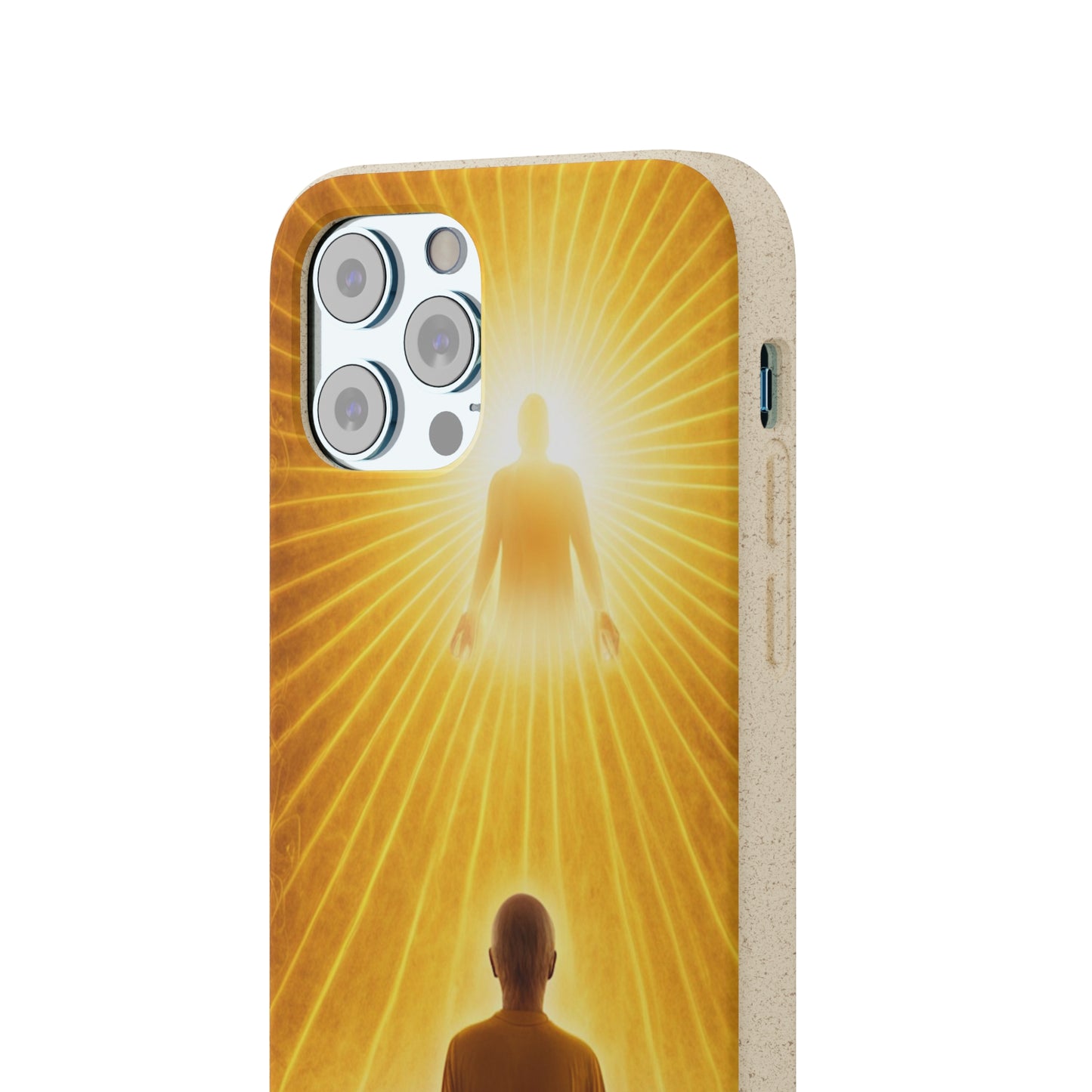 Meditative Monk Biodegradable Case