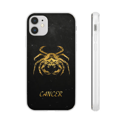 Cancer Flexi Case