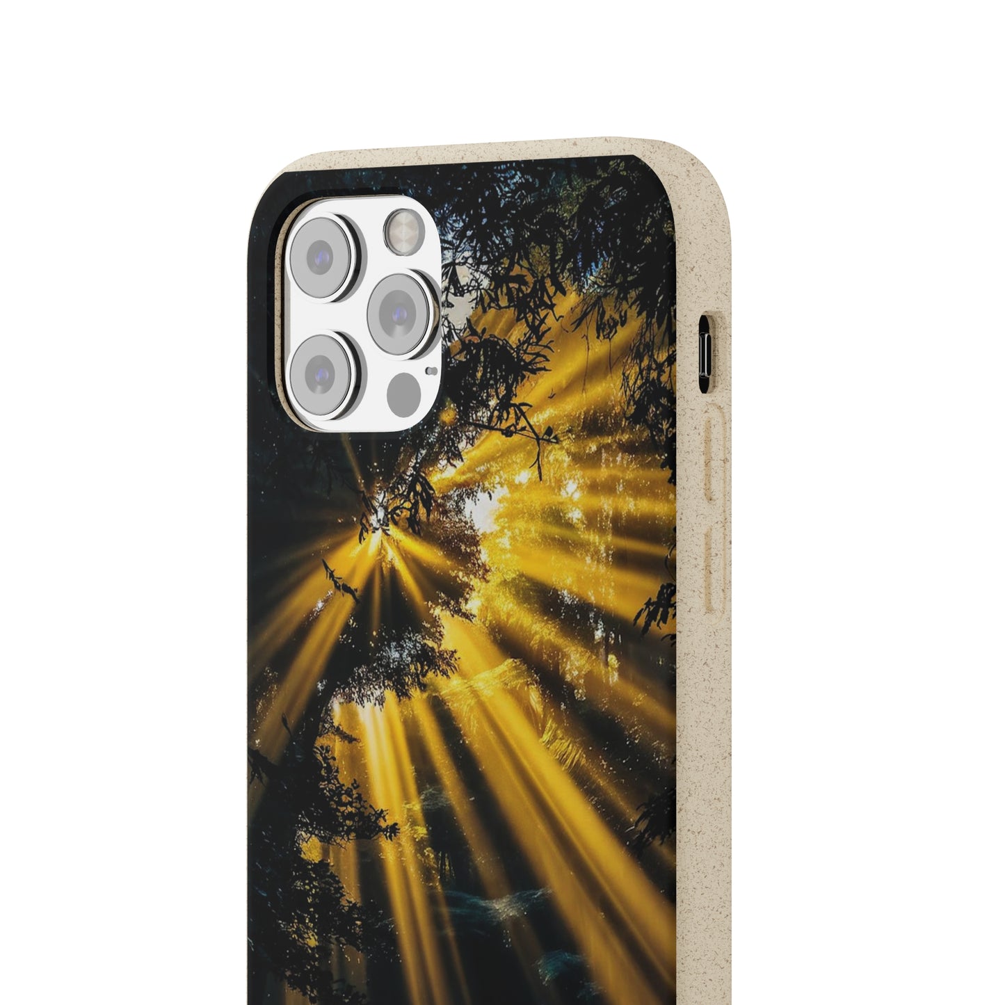 Rays of Hope Biodegradable Case