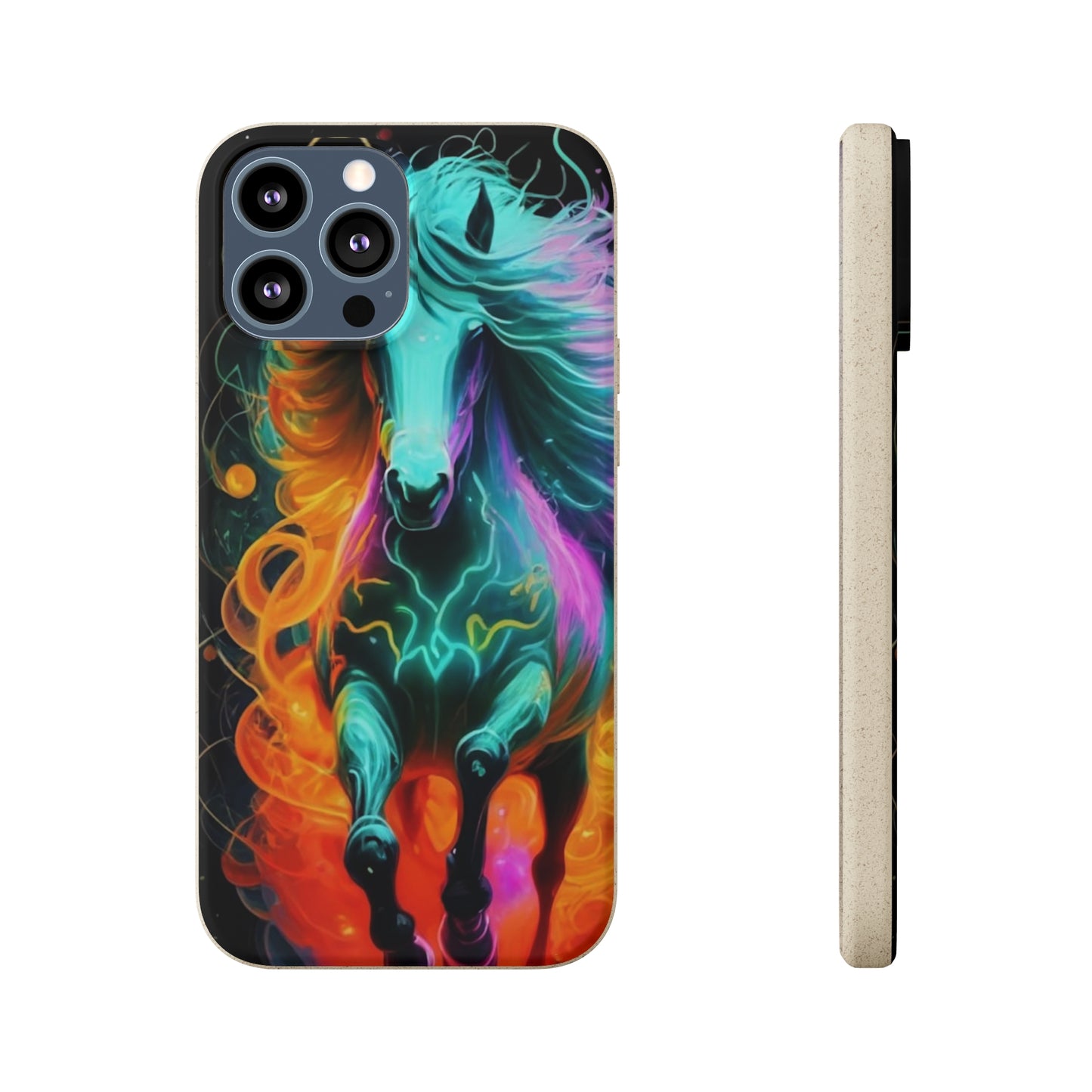 Rainbow Run Biodegradable Case