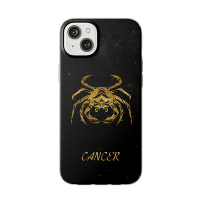 Cancer Flexi Case