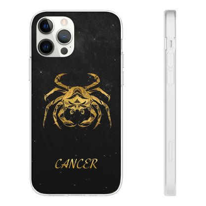 Cancer Flexi Case