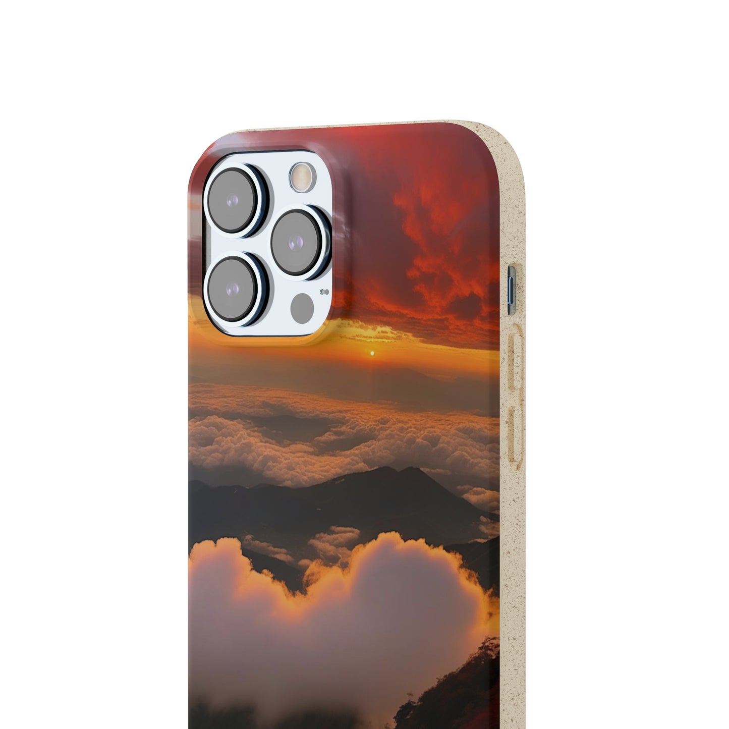 Sunset Bliss Biodegradable Case