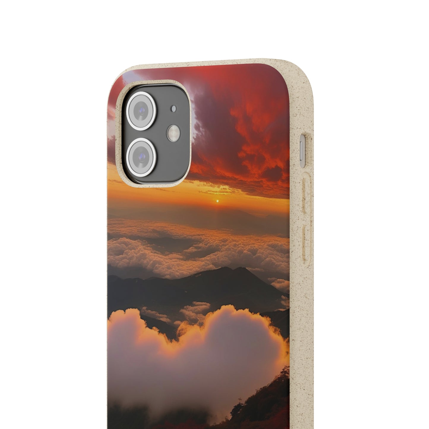 Sunset Bliss Biodegradable Case