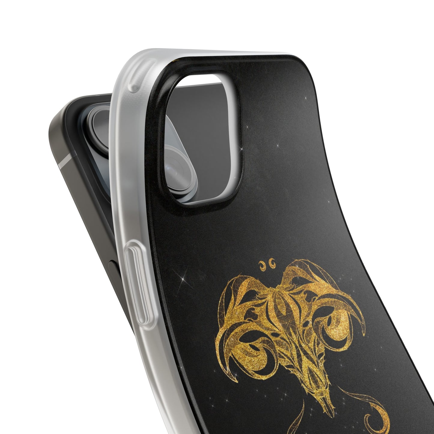 Aries Flexi Case