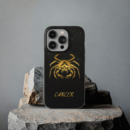 Cancer Flexi Case