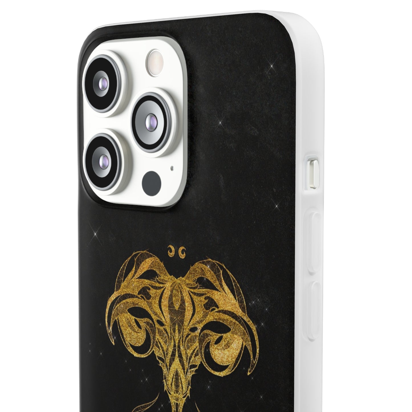 Aries Flexi Case