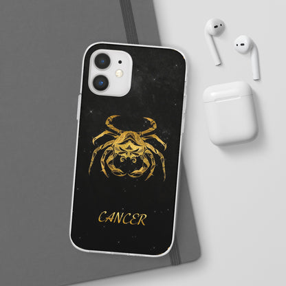 Cancer Flexi Case