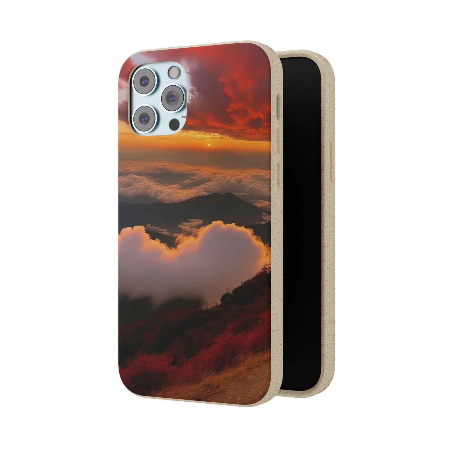 Sunset Bliss Biodegradable Case