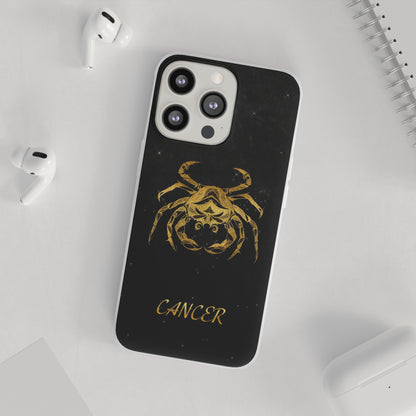 Cancer Flexi Case