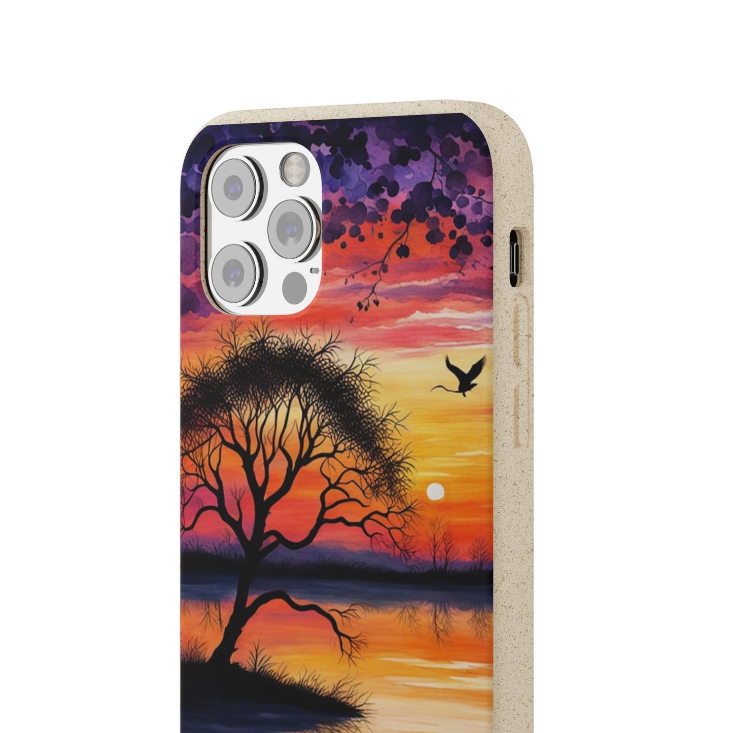 Reflection Biodegradable Case