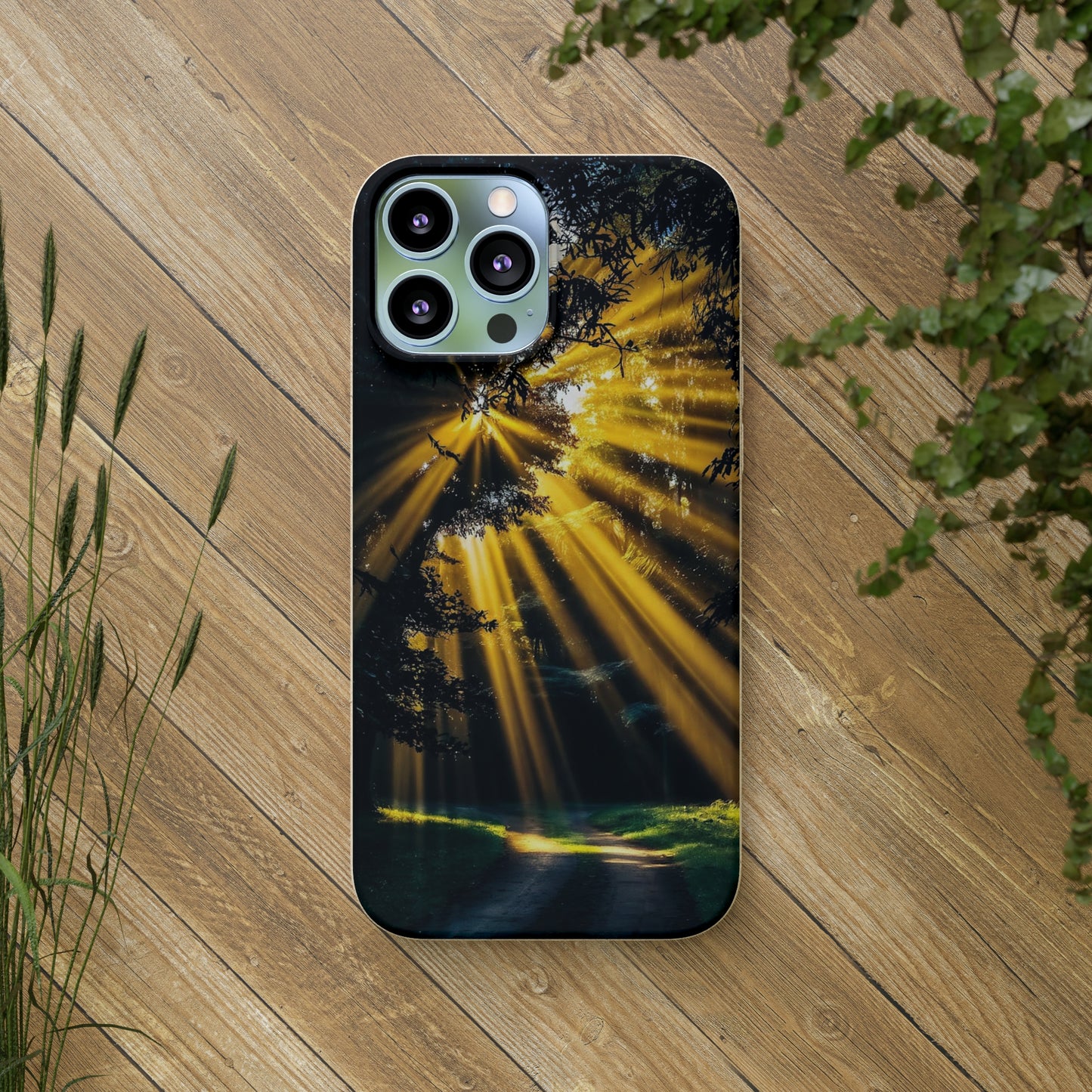 Rays of Hope Biodegradable Case