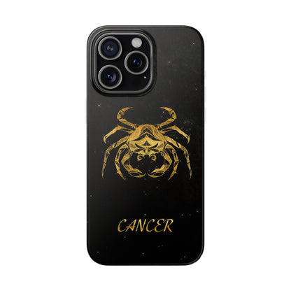 Cancer Flexi Case