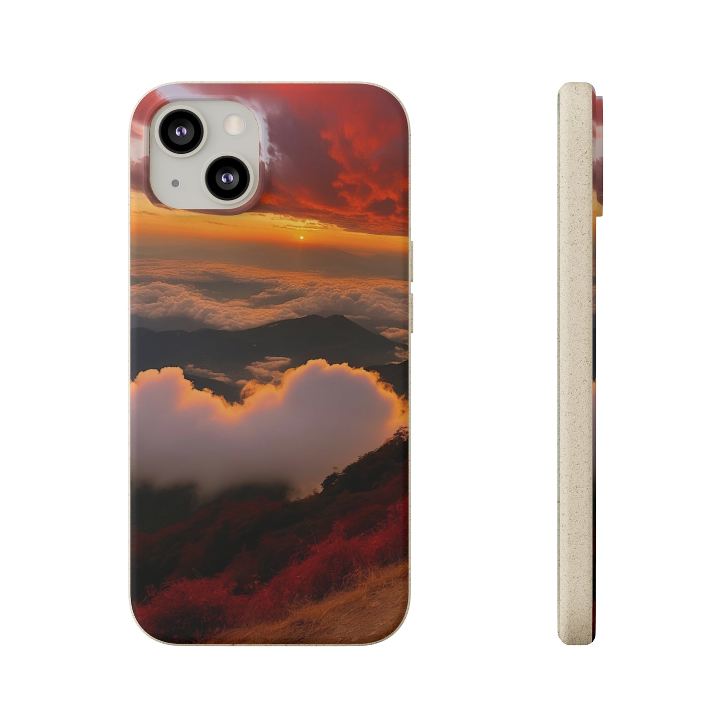 Sunset Bliss Biodegradable Case