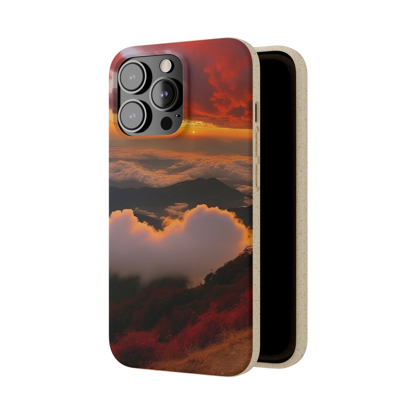 Sunset Bliss Biodegradable Case