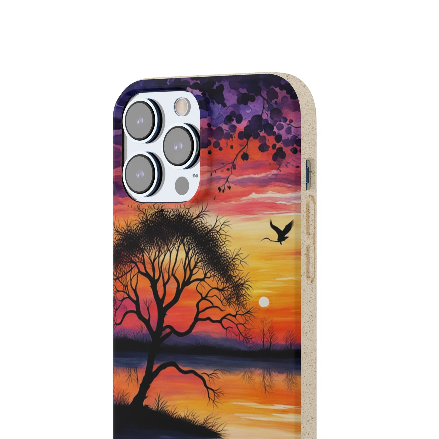 Reflection Biodegradable Case