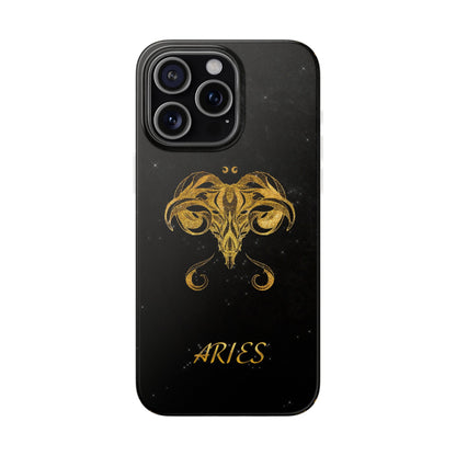 Aries Flexi Case