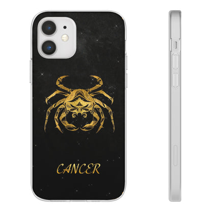 Cancer Flexi Case