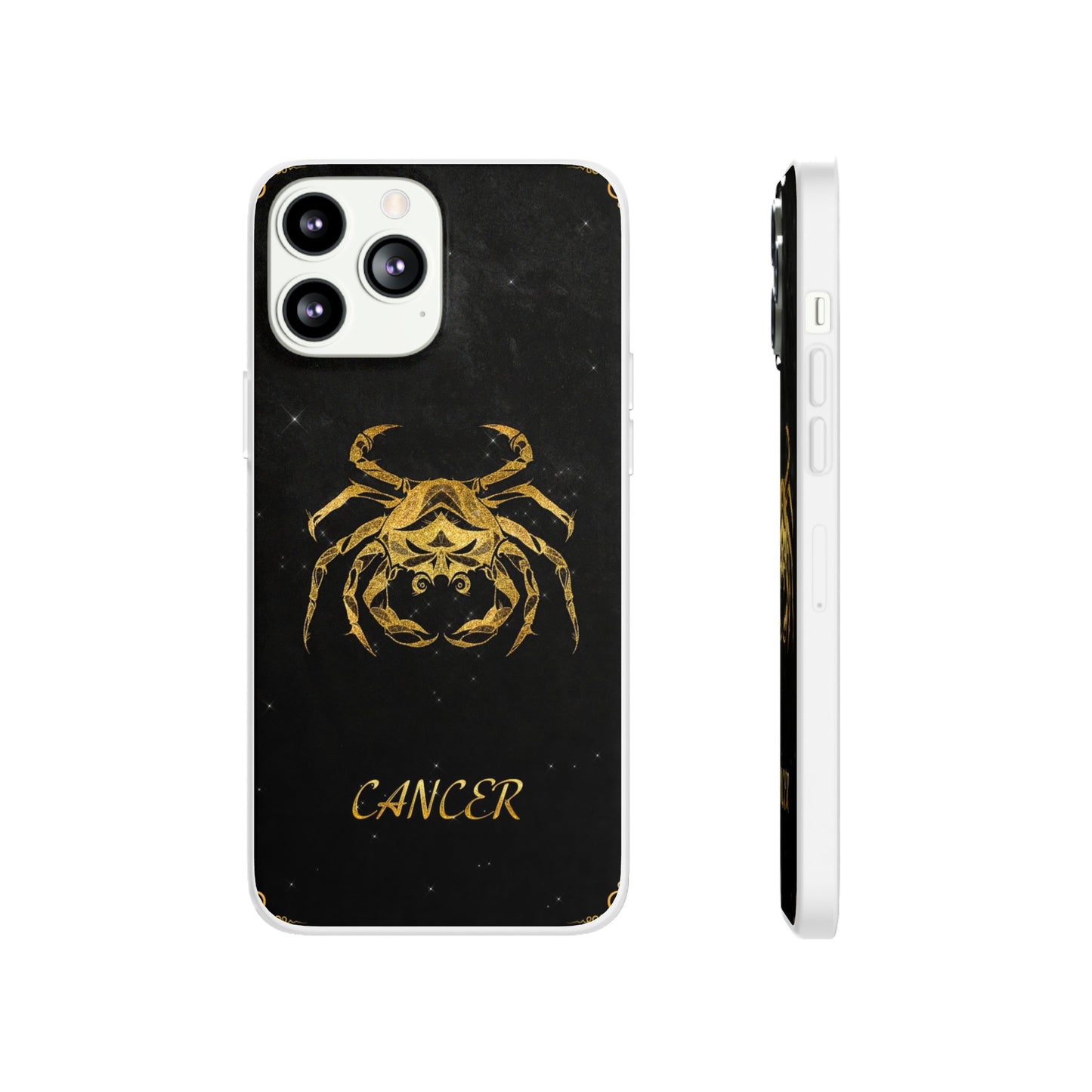 Cancer Flexi Case