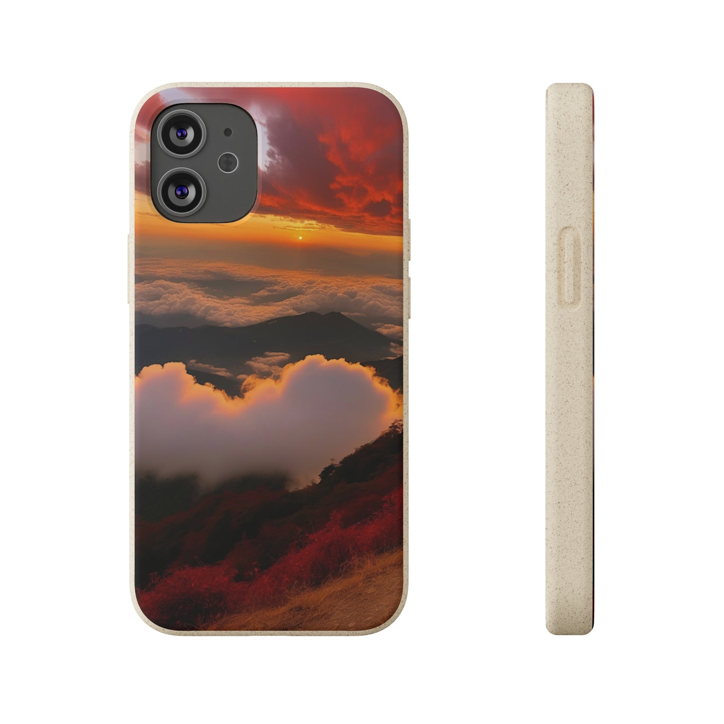 Sunset Bliss Biodegradable Case