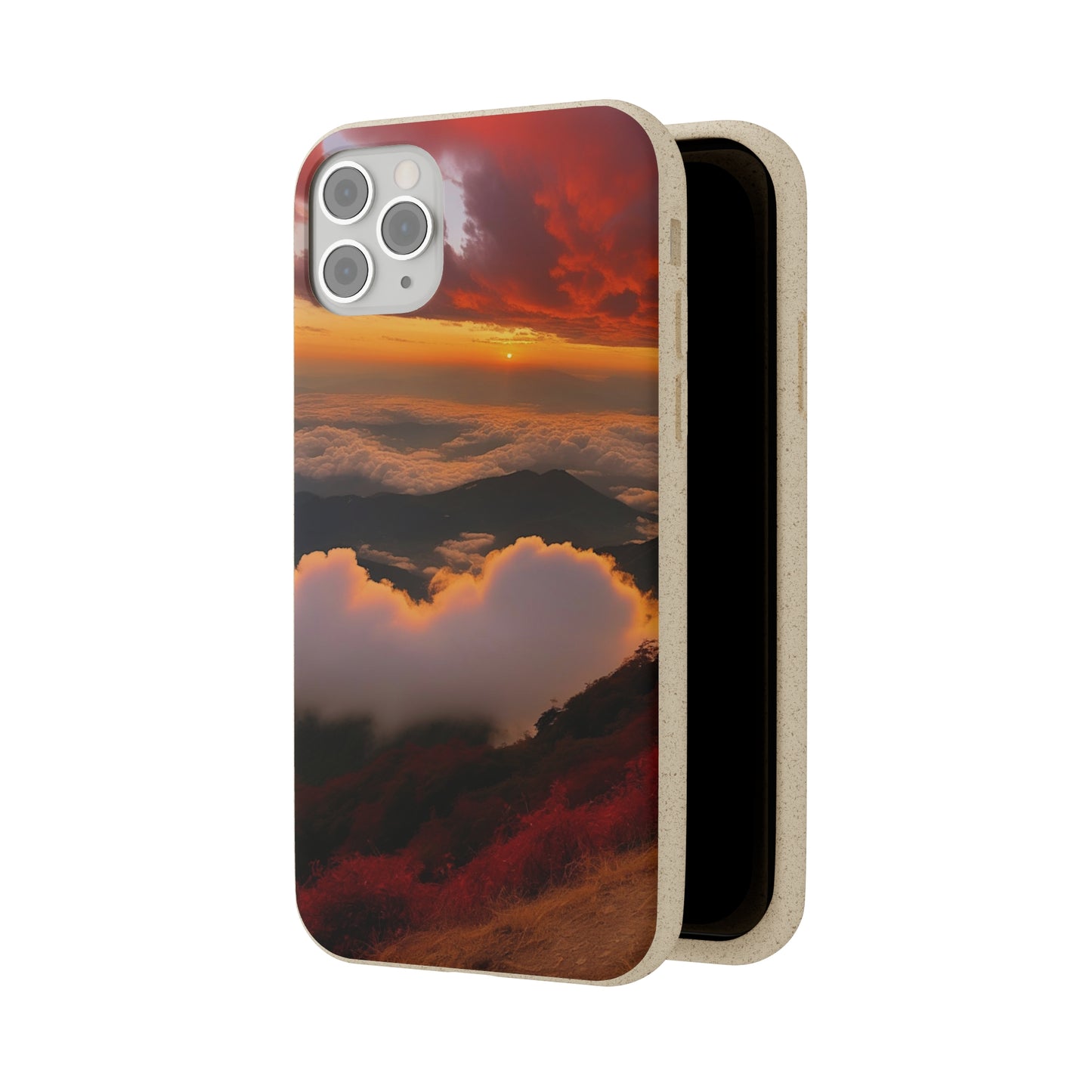 Sunset Bliss Biodegradable Case