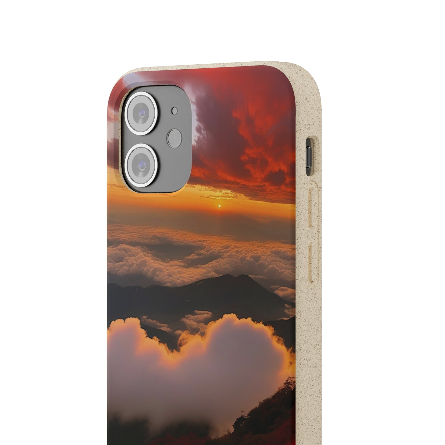 Sunset Bliss Biodegradable Case