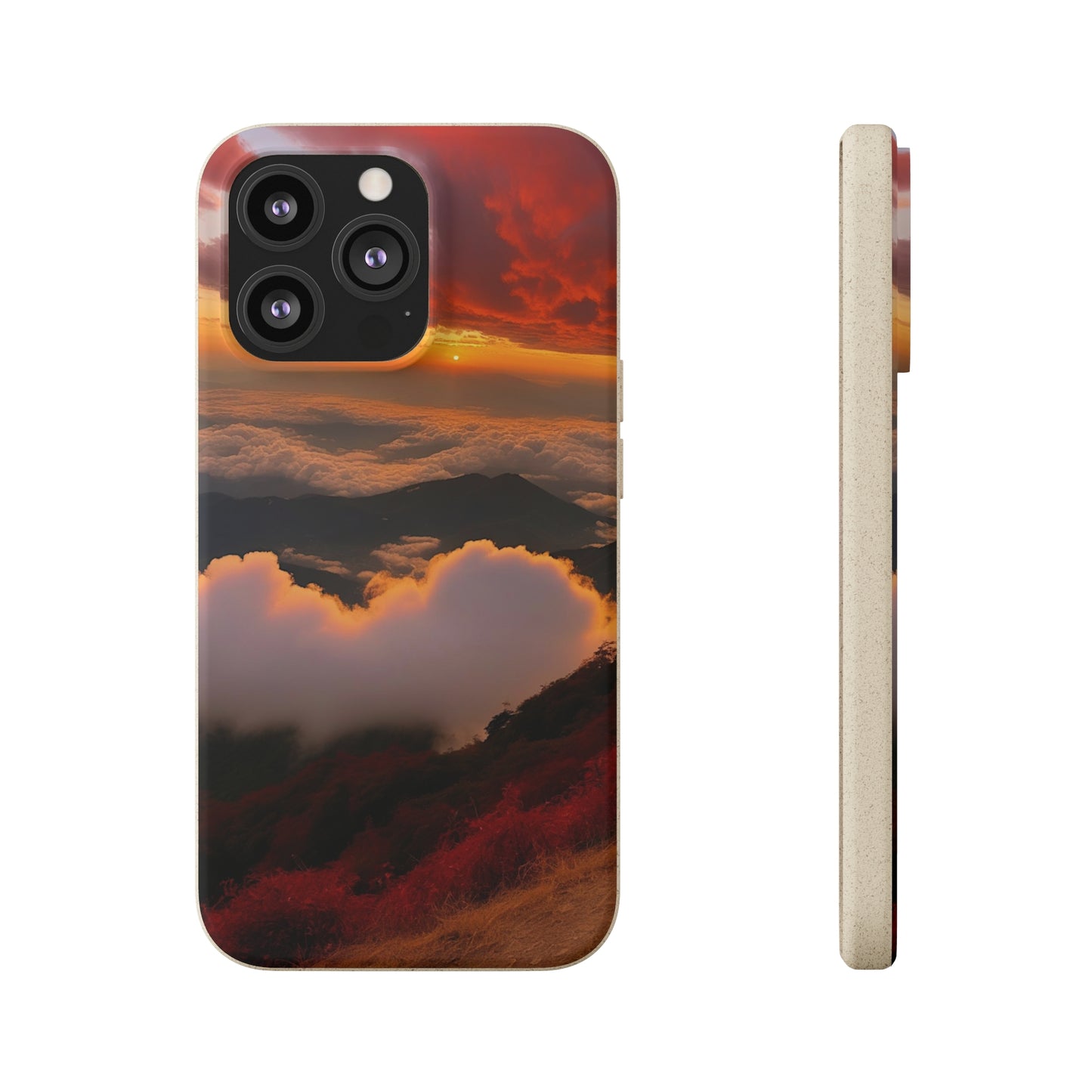 Sunset Bliss Biodegradable Case