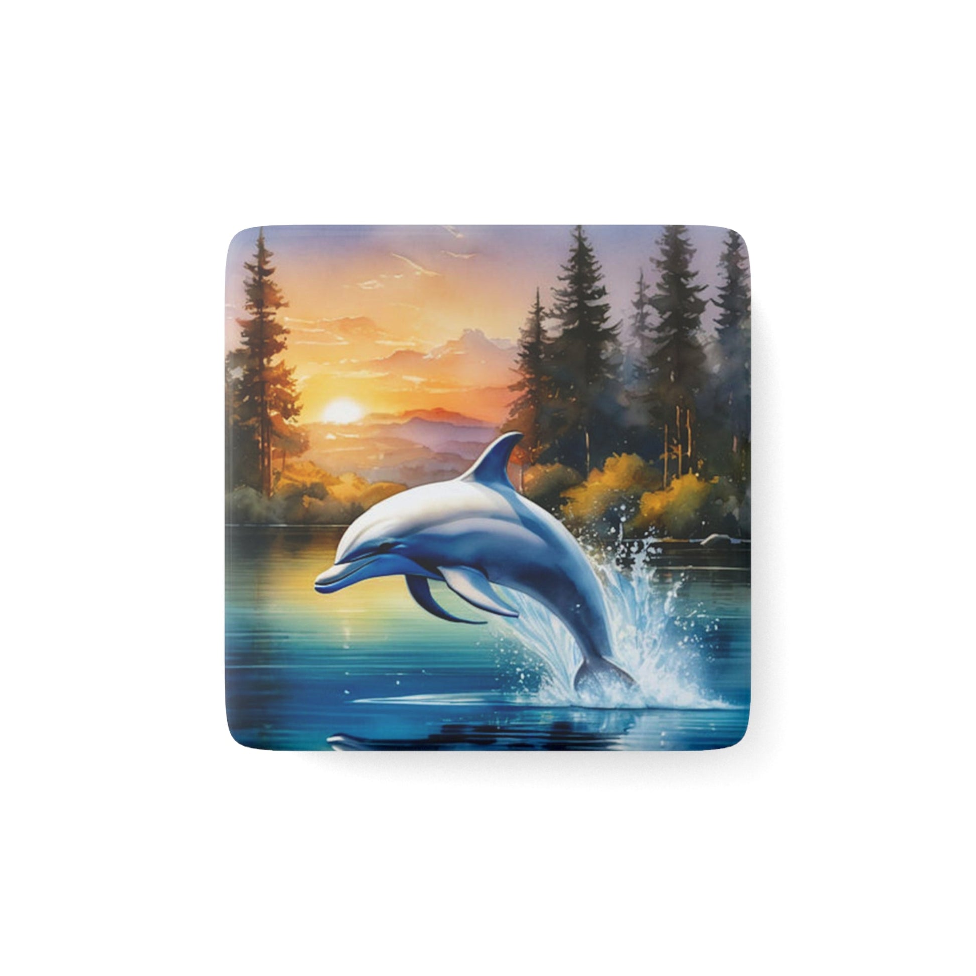 Dolphin Fridge Magnet - Colorwink