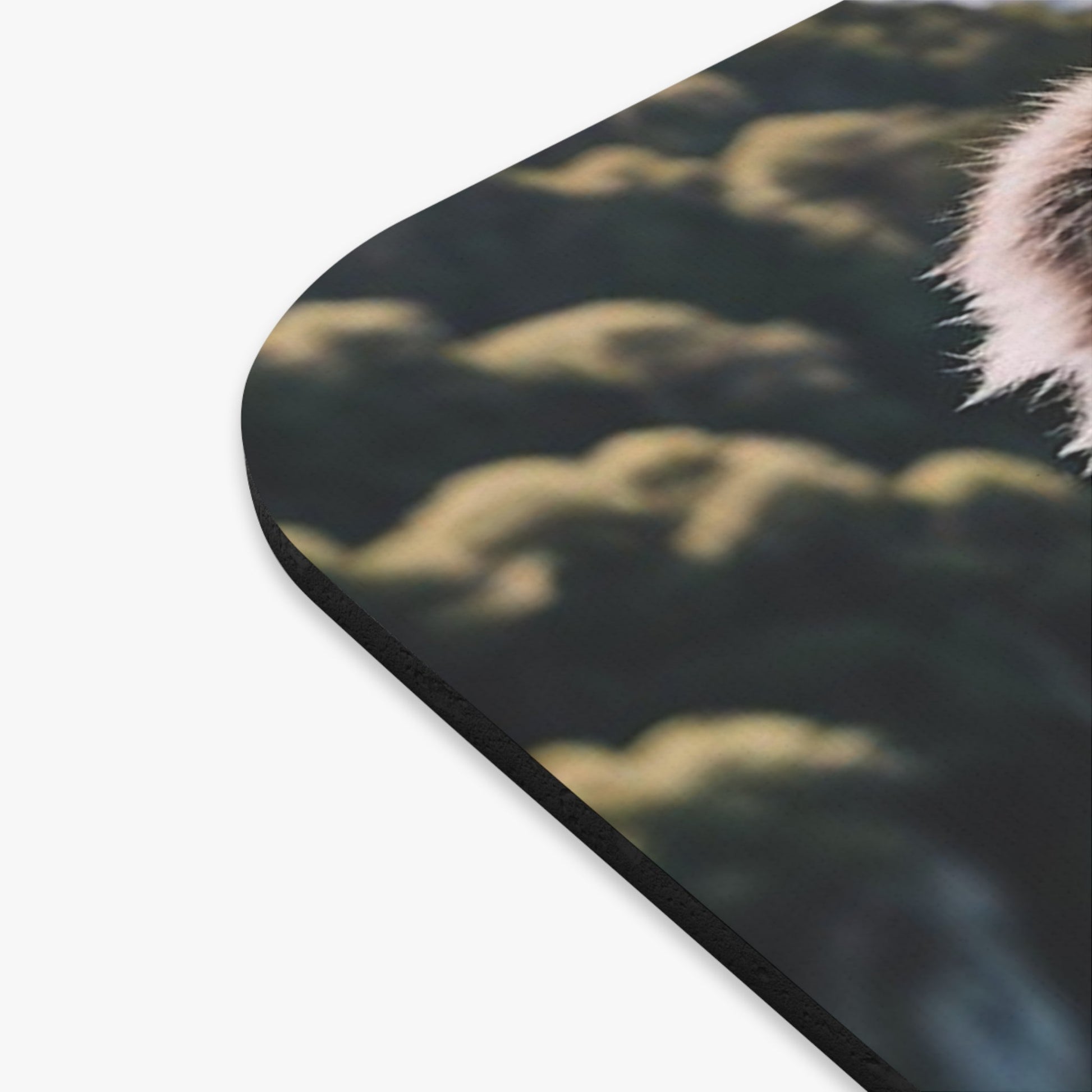 Koala Mouse Pad - Colorwink