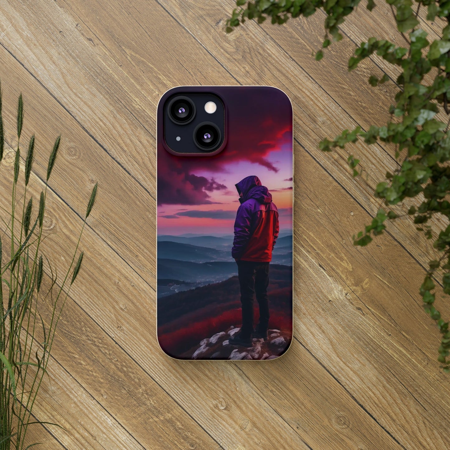 The View Biodegradable Case - Colorwink