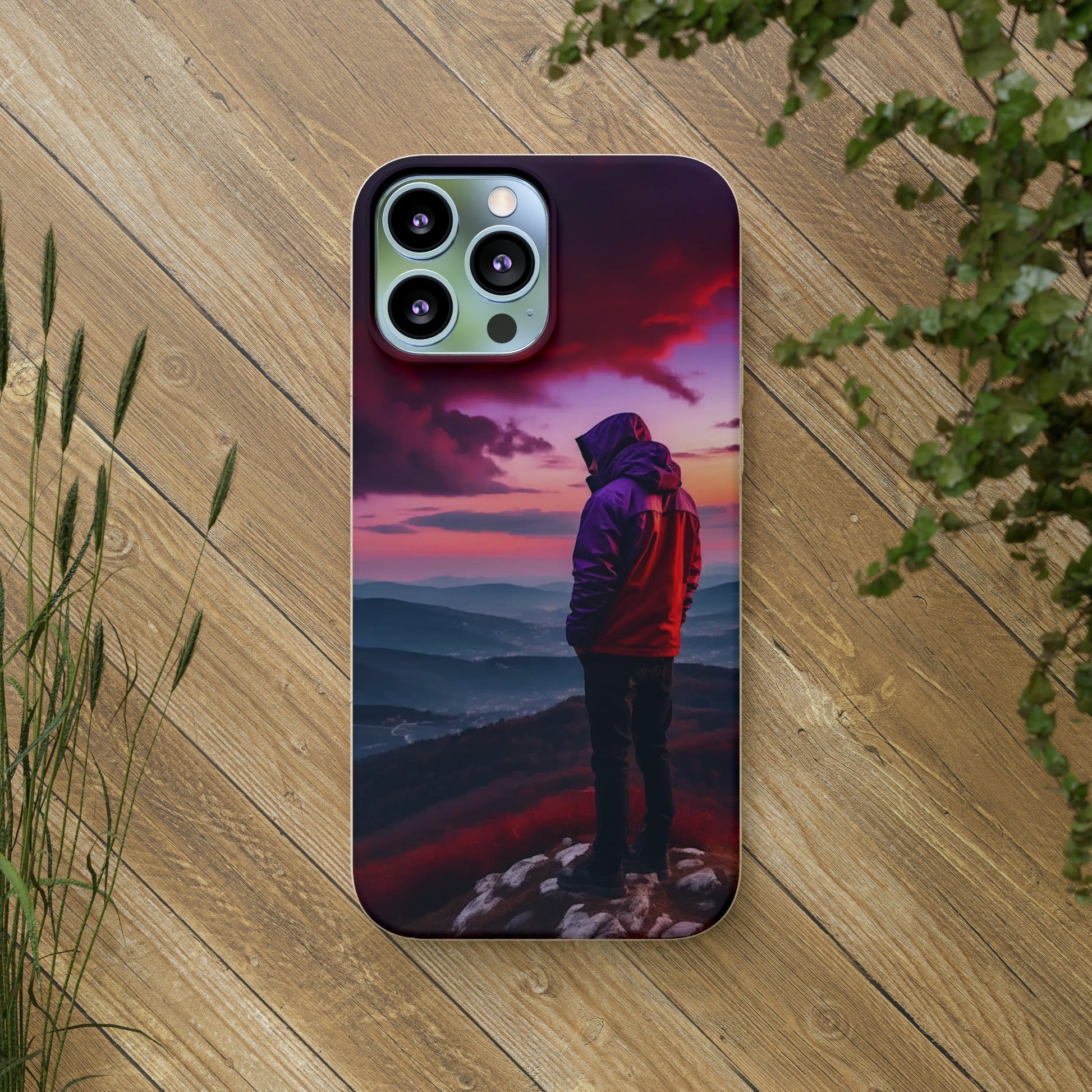 The View Biodegradable Case - Colorwink