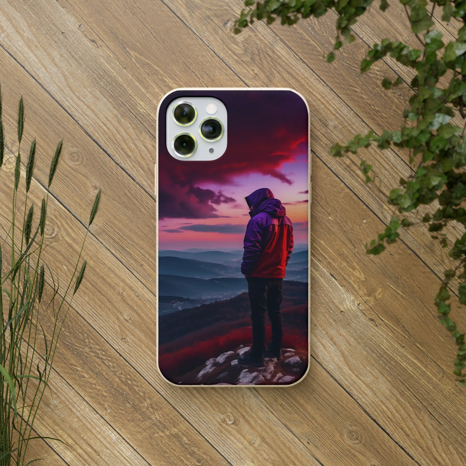 The View Biodegradable Case - Colorwink