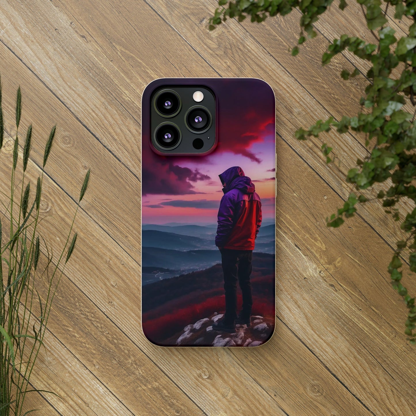 The View Biodegradable Case - Colorwink